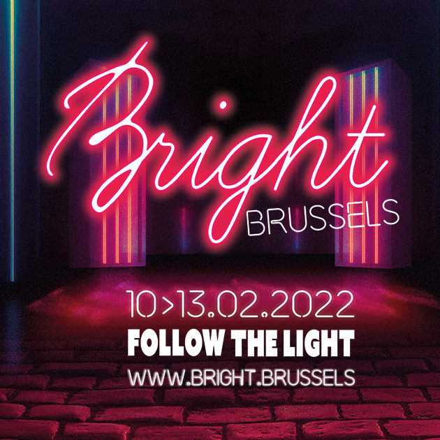 THE FESTIVAL OF LIGHTS IN BRUSSELS (10/02-13/02)